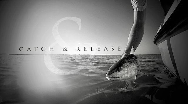 Nice Carp :) - 262816765640.jpg